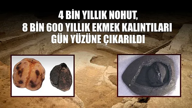 4 bin yıllık nohut, 8 bin 600 yıllık ekmek kalıntıları gün yüzüne çıkarıldı