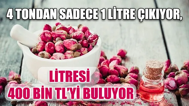 4 Tondan Sadece 1 Litre Çıkıyor, Litresi 400 Bin TL'yi Buluyor