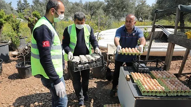 5 bin yumurtayı ücretsiz dağıttı