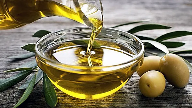 5'inci 'Zeytinyağı Kalite Ödülü' yarışmasının başvuruları başladı