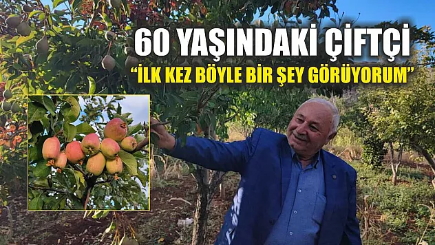 60 yaşındaki çiftçi: 'İlk kez böyle bir şey görüyorum'