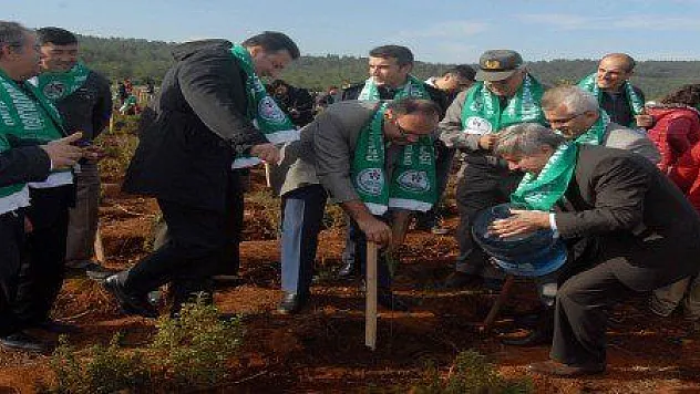 KÖYCEĞİZ'DE AĞAÇLANDIRMA...