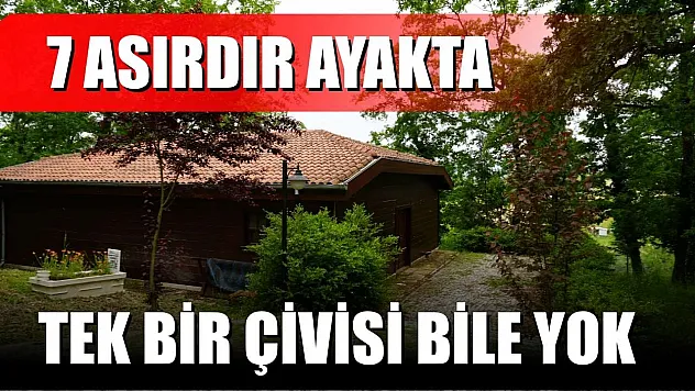 7 asırdır ayakta: Tek bir çivisi bile yok