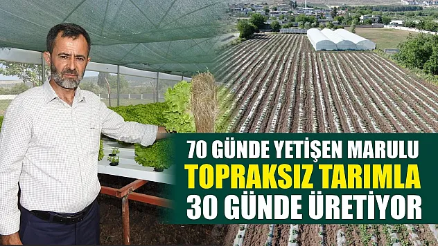 70 günde yetişen marulu topraksız tarımla 30 günde üretiyor