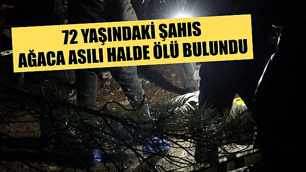 72 yaşındaki şahıs ağaca asılı halde ölü bulundu