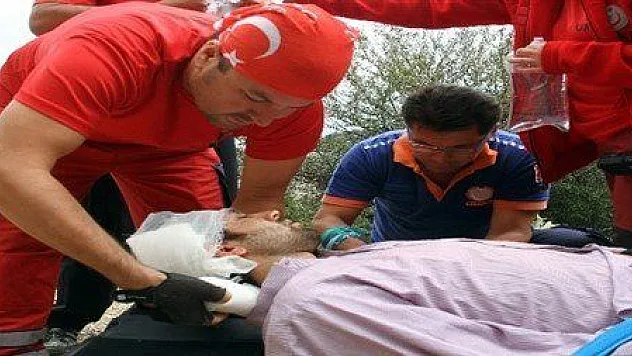 Dal kesmek için çıktığı ağaçtan düşüp yaralandı