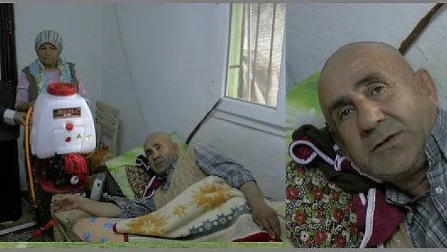 RADYO LİKYA KAZANDIRDI