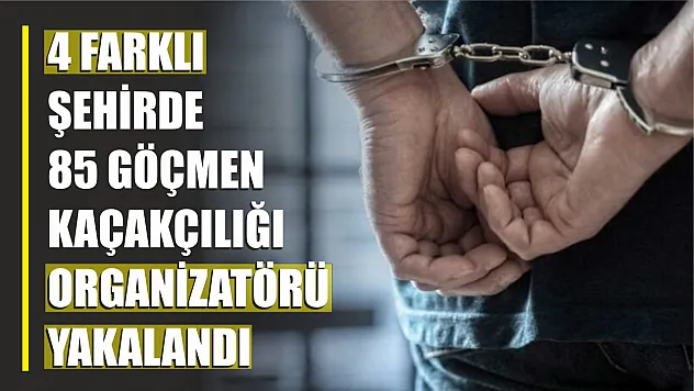 85 göçmen kaçakçılığı organizatörü yakalandı