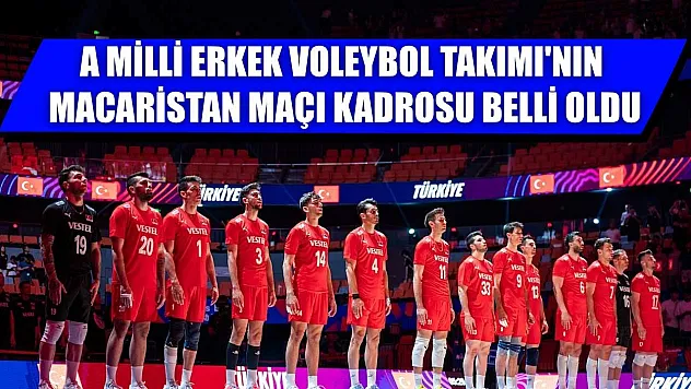 A Milli Erkek Voleybol Takımı'nın Macaristan maçı kadrosu belli oldu