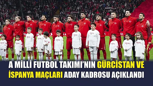 A Milli Futbol Takımı'nın Gürcistan ve İspanya maçları aday kadrosu açıklandı