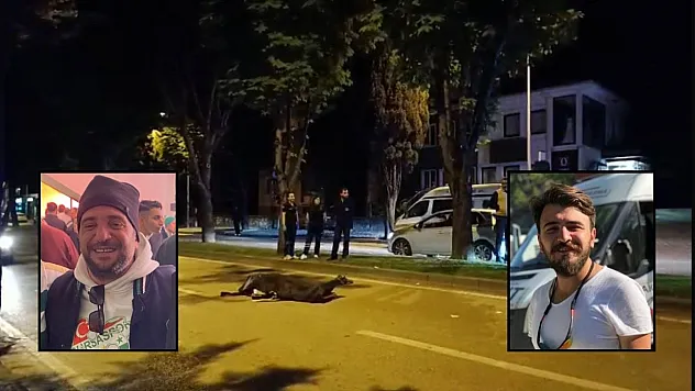 Abi kardeş 4 yıl sonra benzer kazada hayatını kaybetti...