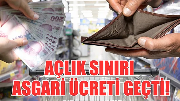 Açlık sınırı asgari ücreti geçti!