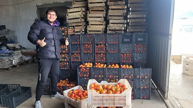 AFET BÖLGESİNE 40 KASA DOMATES