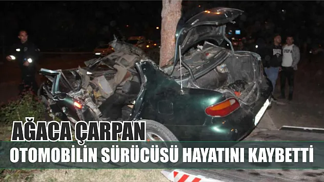 Ağaca çarpan otomobilin sürücüsü hayatını kaybetti