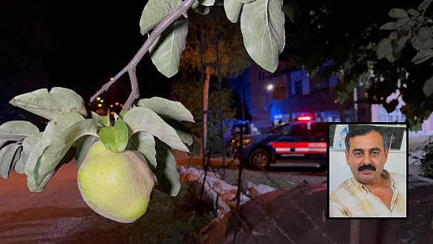 Ağacın dalını kestiği için amcasını öldürdü