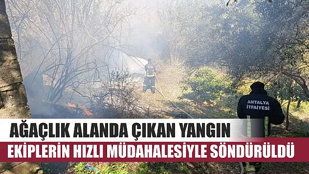 Ağaçlık alanda çıkan yangın, ekiplerin hızlı müdahalesiyle söndürüldü