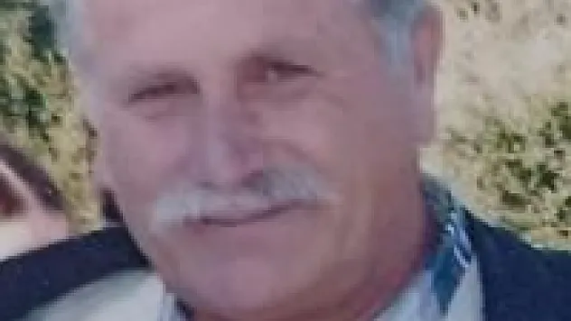 Ağaçtan düşerek hayatını kaybetti