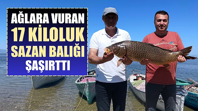 Ağlara vuran 17 kiloluk sazan balığı şaşırttı
