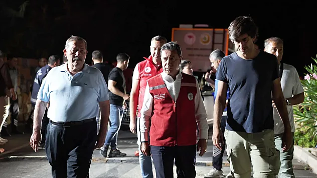 Ahmet Aras Milas'taki Orman Yangınını Yerinde İnceledi