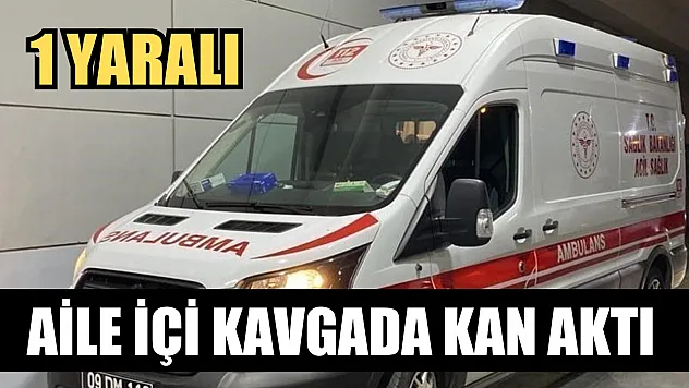 Aile içi kavgada kan aktı: 1 yaralı
