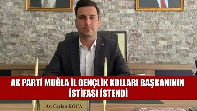 AK Parti Muğla il gençlik kolları başkanının istifası istendi