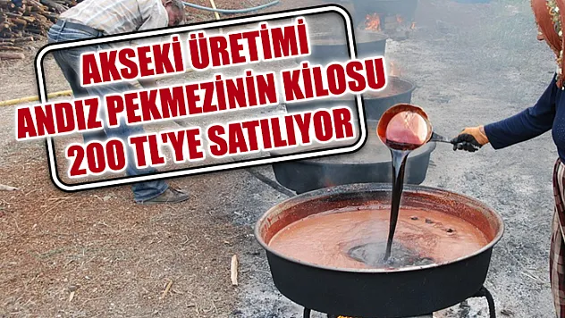 Akseki Üretimi Andız Pekmezinin Kilosu 200 Tl'ye Satılıyor