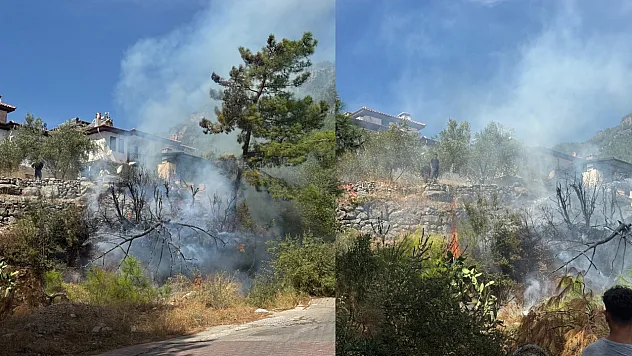Akyaka'da ot yangını paniğe neden oldu