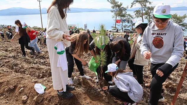 Akyaka'da yanan alan fidanlarla yeşeriyor