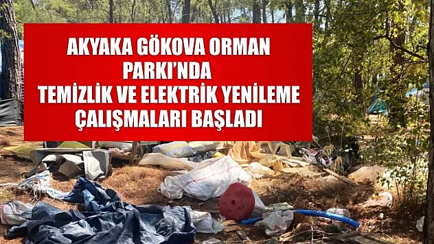 Akyaka Gökova Orman Parkı'nda temizlik ve elektrik yenileme çalışmaları başladı
