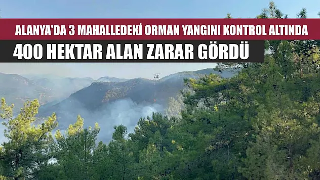 Alanya'da 3 mahalledeki orman yangını kontrol altında: 400 hektar alan zarar gördü