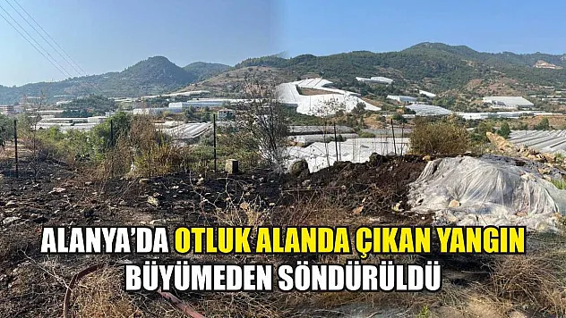 Alanya'da otluk alanda çıkan yangın büyümeden söndürüldü