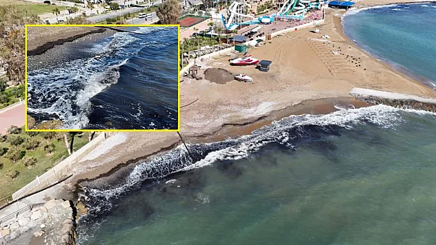 Alanya'da sahildeki siyah tabaka önce tedirgin etti, gerçek sonradan ortaya çıktı