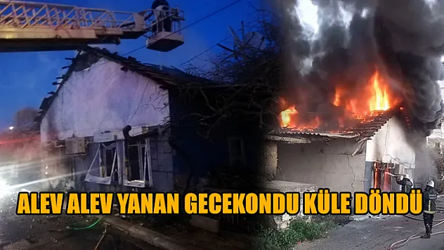 Alev alev yanan gecekondu küle döndü