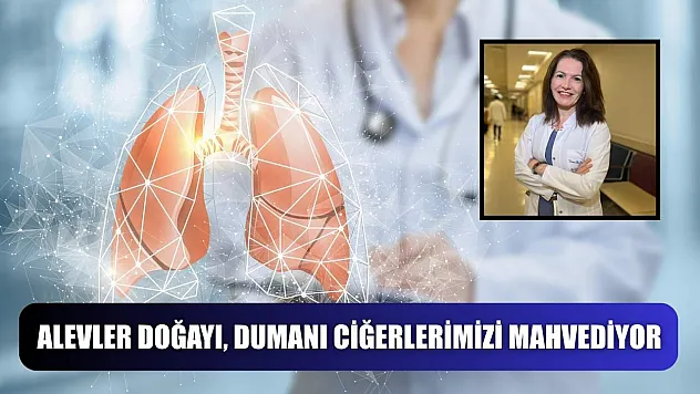 Alevler doğayı, dumanı ciğerlerimizi mahvediyor