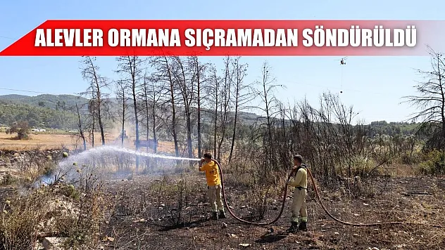 Alevler ormana sıçramadan söndürüldü