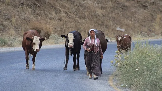 Alevlerden kaçtılar, hayvanlarını ve kendi canlarını zor kurtardılar