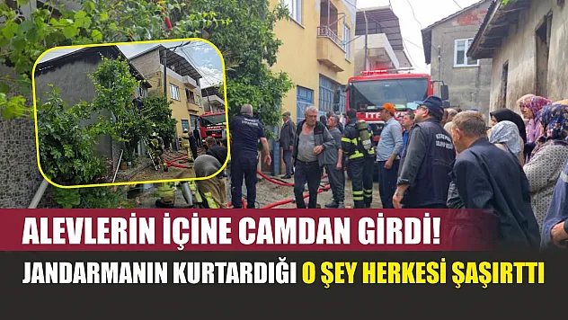 Alevlerin içine camdan girdi! Jandarmanın kurtardığı o şey herkesi şaşırttı