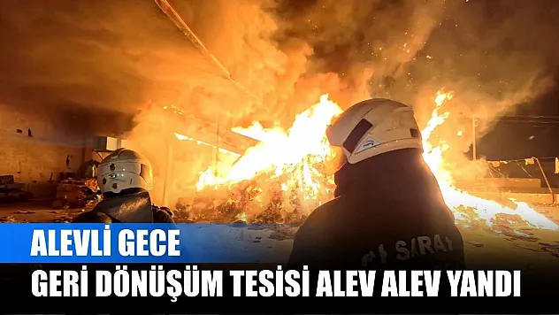 Alevli gece: Geri dönüşüm tesisi alev alev yandı