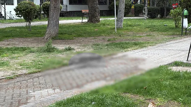 Alkol içerken çıkan tartışma cinayetle bitti