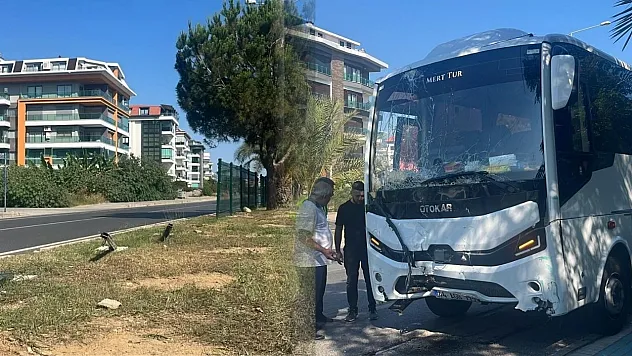 Alkollü sürücünün kullandığı midibüs refüjü aşıp karşı şeride geçti