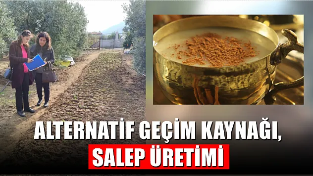 Alternatif Geçim Kaynağı, Salep Üretimi