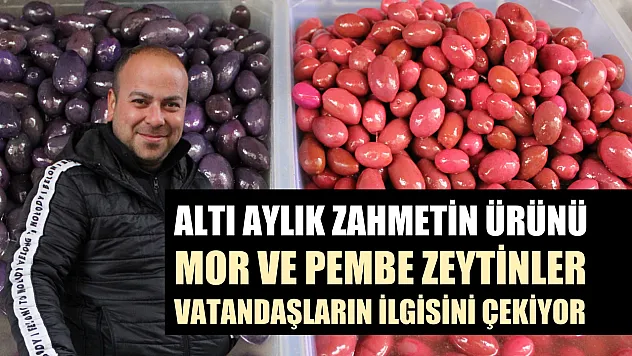 Altı aylık zahmetin ürünü mor ve pembe zeytinler vatandaşların ilgisini çekiyor