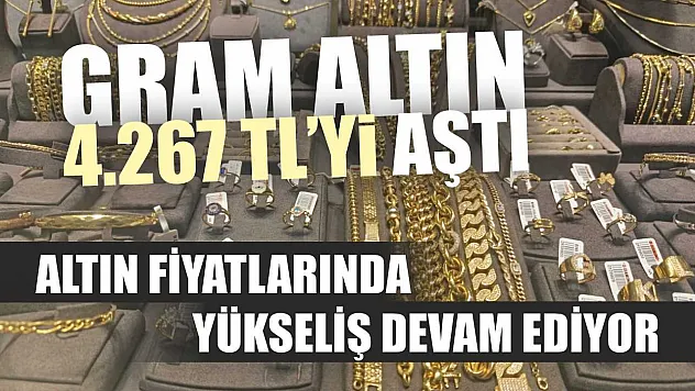Altın fiyatlarında yükseliş devam ediyor: Gram altın 4.267 TL'yi aştı