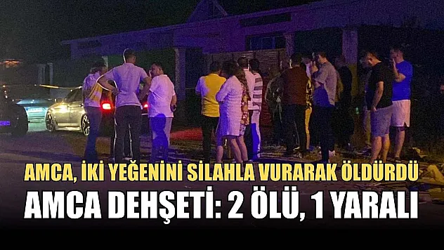 Amca dehşeti: 2 ölü, 1 yaralı