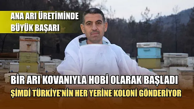 Ana arı üretiminde büyük başarı: Bir arı kovanıyla hobi olarak başladı, şimdi Türkiye'nin her yerine koloni gönderiyor