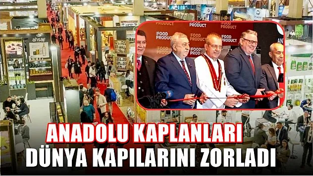Anadolu Kaplanları Dünya Kapılarını Zorladı