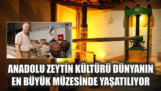Anadolu zeytin kültürü dünyanın en büyük müzesinde yaşatılıyor