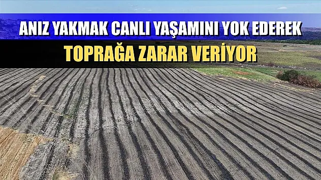 Anız yakmak canlı yaşamını yok ederek toprağa zarar veriyor