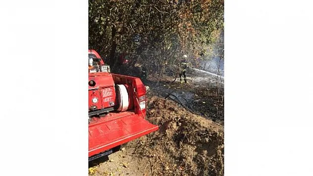 ANIZ YANGINI BÜYÜMEDEN SÖNDÜRÜLDÜ