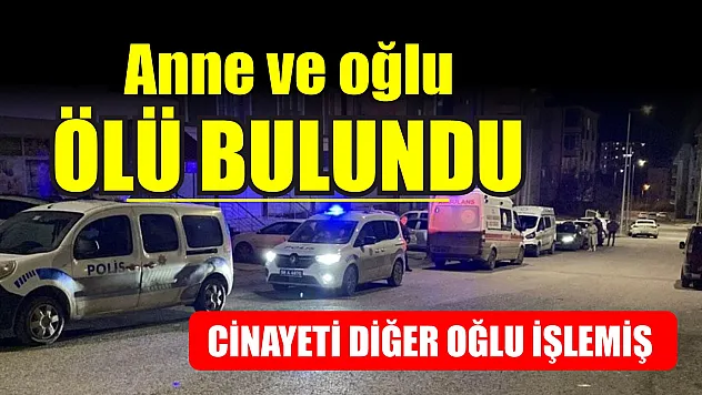 Anne ve oğlu evde ölü bulunmuştu: Cinayeti diğer oğlu işlemiş